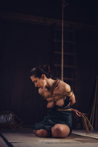 Kinbaku Shibari Photography Research Traditional Japanese Bondage Rice Straw Rope