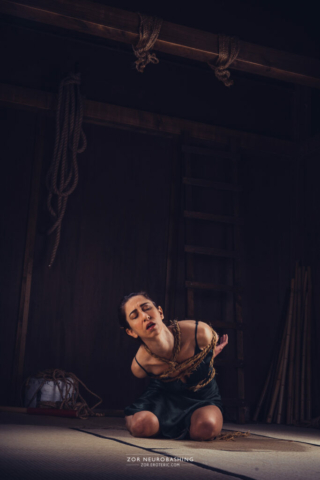 Kinbaku Shibari Photography Research Traditional Japanese Bondage Rice Straw Rope