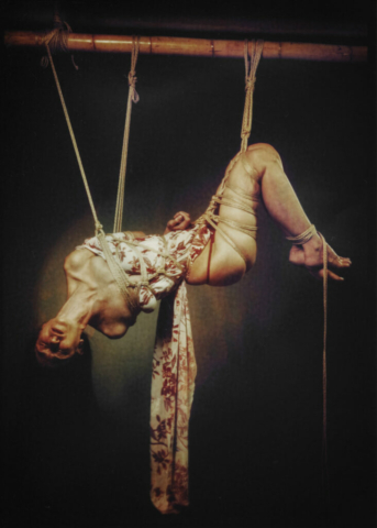 Kinbaku Shibari Semenawa Japanese bondage
