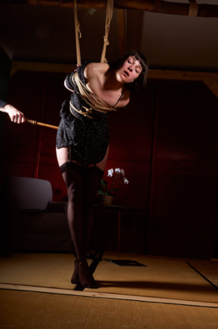 Kink Kinbaku Photoshoot Pornart phantasy hot young girl gets punished and examined by professor